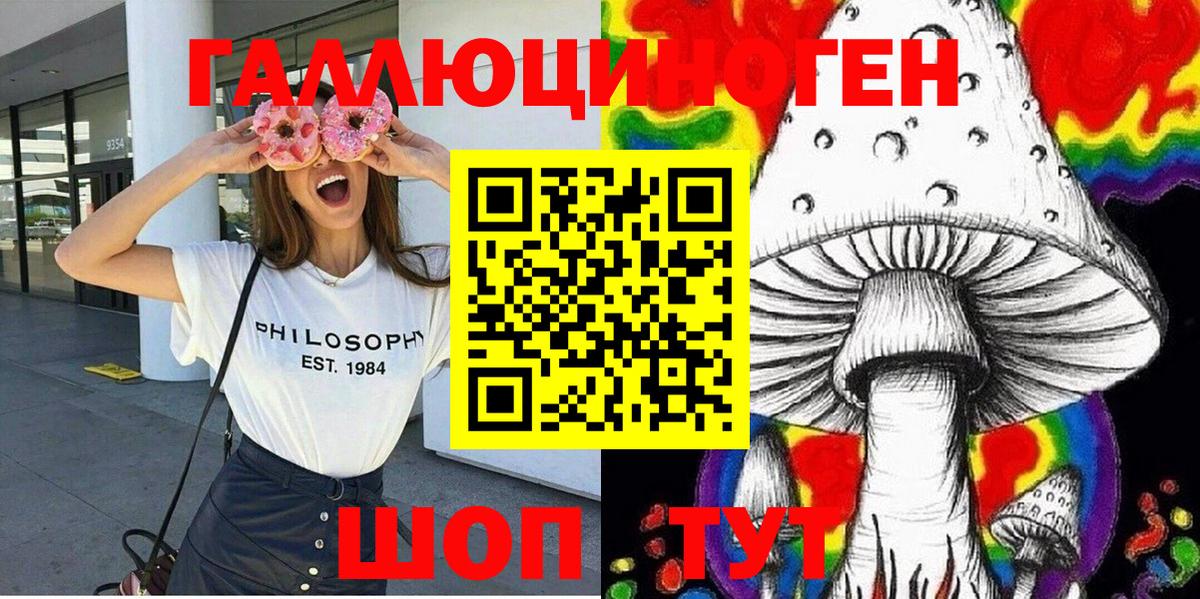 где купить   Вход с VPN  Калуга  Псилоцибиновые грибы прущие грибы  Галлюциногенные грибы GOLDEN TEACHER 